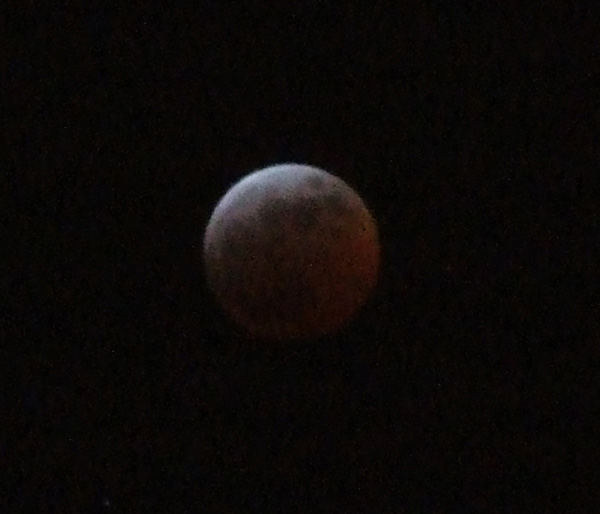 Here's a darker image.